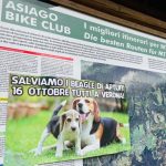 Asiago-alpopiano-2