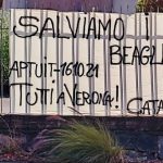 Catania