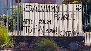 Catania