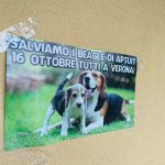 Feltre-1