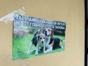 Feltre-1