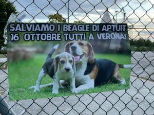 Padova-1