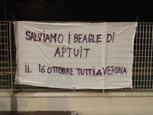 Rimini