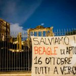 Roma-1