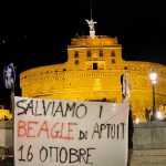 Roma-2