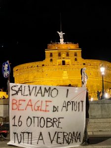 Roma-2