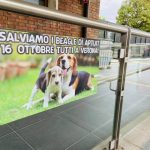 Rovigo-2