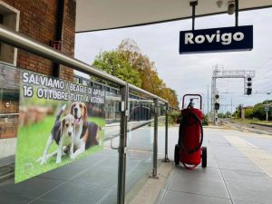 Rovigo