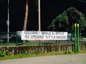 Saronno-2