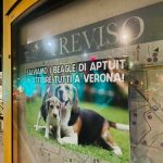 Treviso-2
