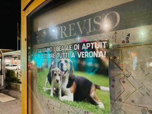 Treviso-2