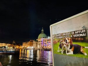 Venezia-1