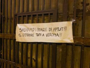 Verona-1
