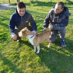 WhatsApp Image 2022-03-01 at 17.20.33 (3)