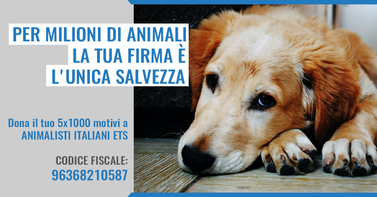 5x1000 Animalisti Italiani
