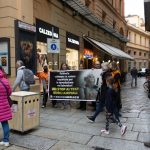 Bologna 4