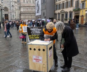 Firenze 3