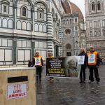 Firenze 4
