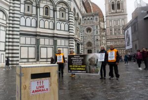 Firenze 4