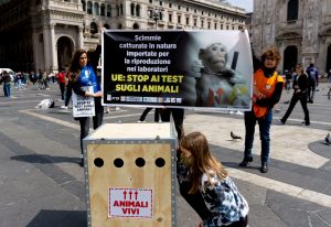 raccolta firme save cruelty free cosmetics