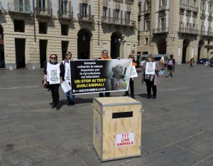 Torino 2