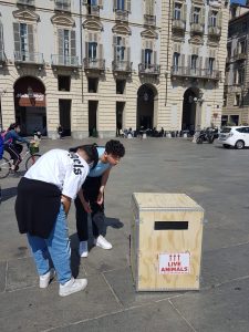 Torino 5