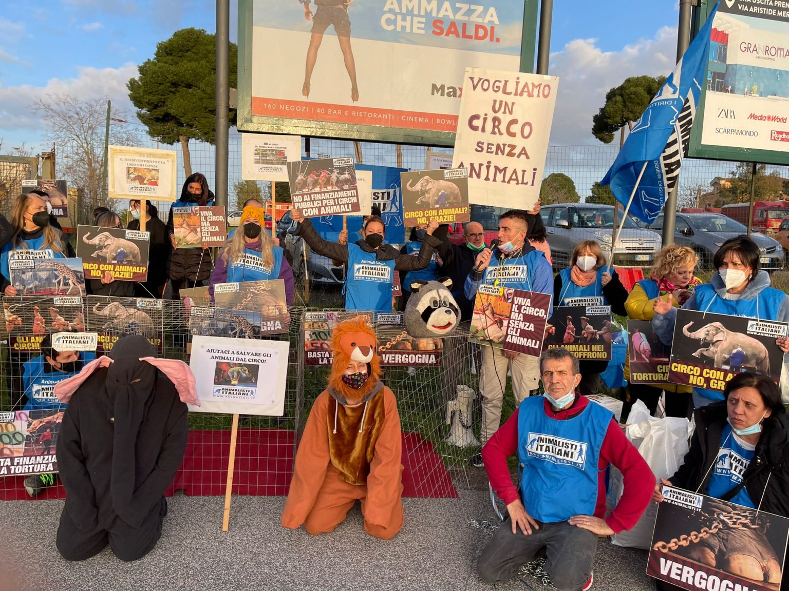 Stop al circo con animali: in Italia arriva il primo sì in Senato.