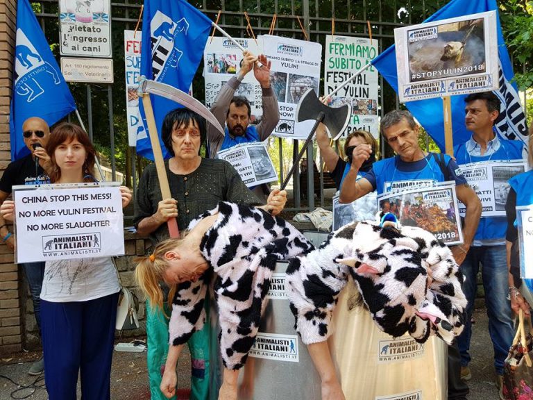 CINA: TORNA L’ABOMINEVOLE FESTIVAL DI YULIN. LA POLIZIA SALVA 386 ANIMALI, MA SONO MIGLIAIA QUELLI MACELLATI