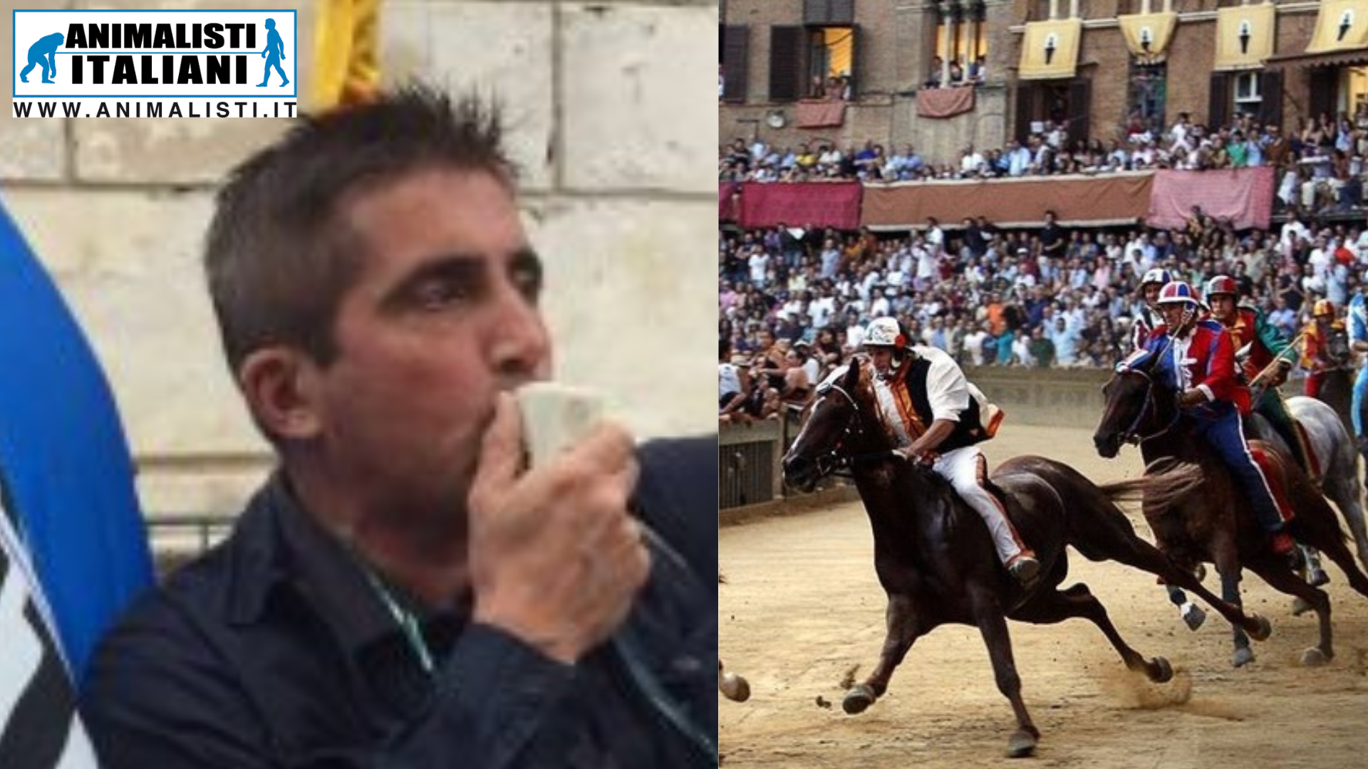 ANIMALISTI ITALIANI CONTRO IL PALIO DI SIENA: "CHI RISPETTA I CAVALLI NON AMA IL PALIO”. IL PRESIDENTE CAPORALE VA A PROCESSO