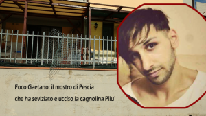 mostro-di-pescia-696x392 mostro-di-pescia-696x392