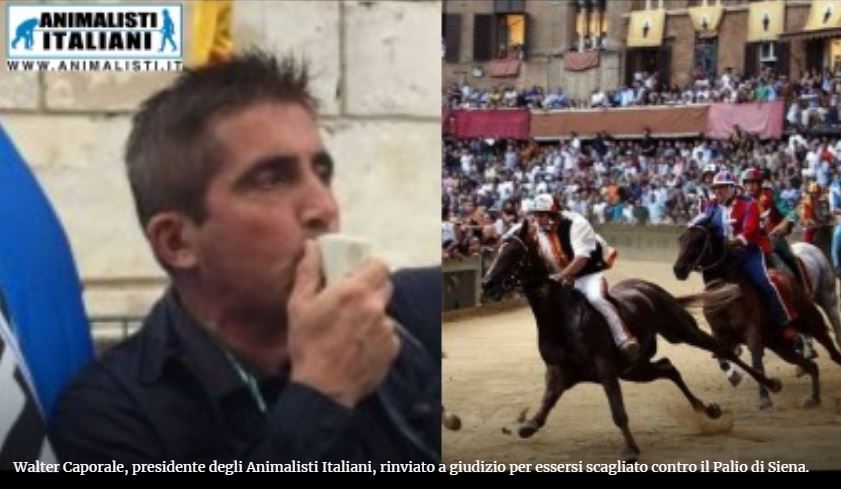 PALIO DI SIENA: IL PROCESSO CONTRO WALTER CAPORALE PRESIDENTE DEGLI ANIMALISTI ITALIANI SI SPOSTA A LANCIANO