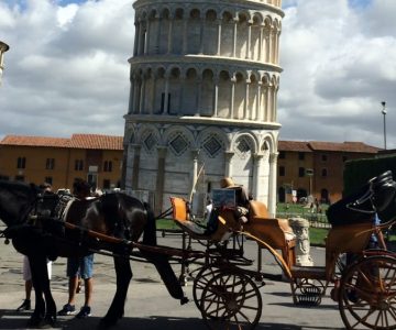 PISA DIRÀ ADDIO ALLE CARROZZE TRAAINATE DA CAVALLI? OGGI L’INCONTRO TRA IL SINDACO CONTI E GLI ANIMALISTI.