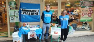 Foto 12 (2)