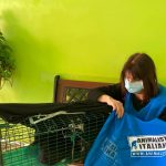 Foto Sterilizzazioni e recuperi animali_Roma (4) Foto Sterilizzazioni e recuperi animali_Roma (4)