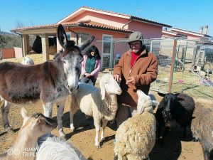 Foto donazioni cibo (10)