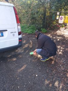 Foto donazioni cibo (3)