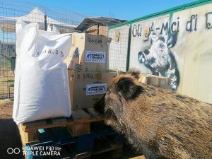 Foto donazioni cibo (8)