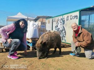 Foto donazioni cibo (9)