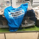 PROGETTO "ANIMAL CARE": STERILIZZAZIONI GRATUITE PER CANI E GATTI RANDAGI PROGETTO "ANIMAL CARE": STERILIZZAZIONI GRATUITE PER CANI E GATTI RANDAGI