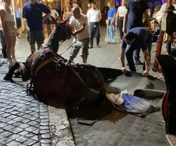 ROMA, FONTANA DI TREVI: CALDO, FATICA E SOFFERENZA PER IL CAVALLO CHE STRAMAZZA AL SUOLO TRA I TURISTI