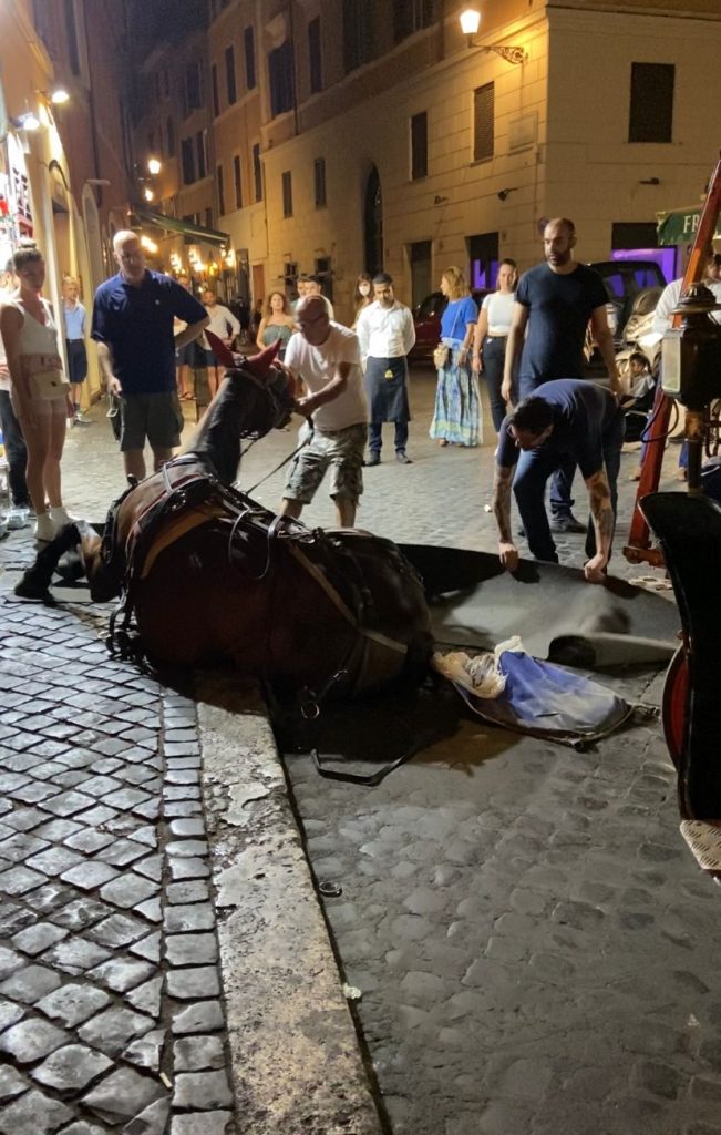 ROMA, FONTANA DI TREVI: CALDO, FATICA E SOFFERENZA PER IL CAVALLO CHE STRAMAZZA AL SUOLO TRA I TURISTI