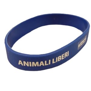 Bracciale