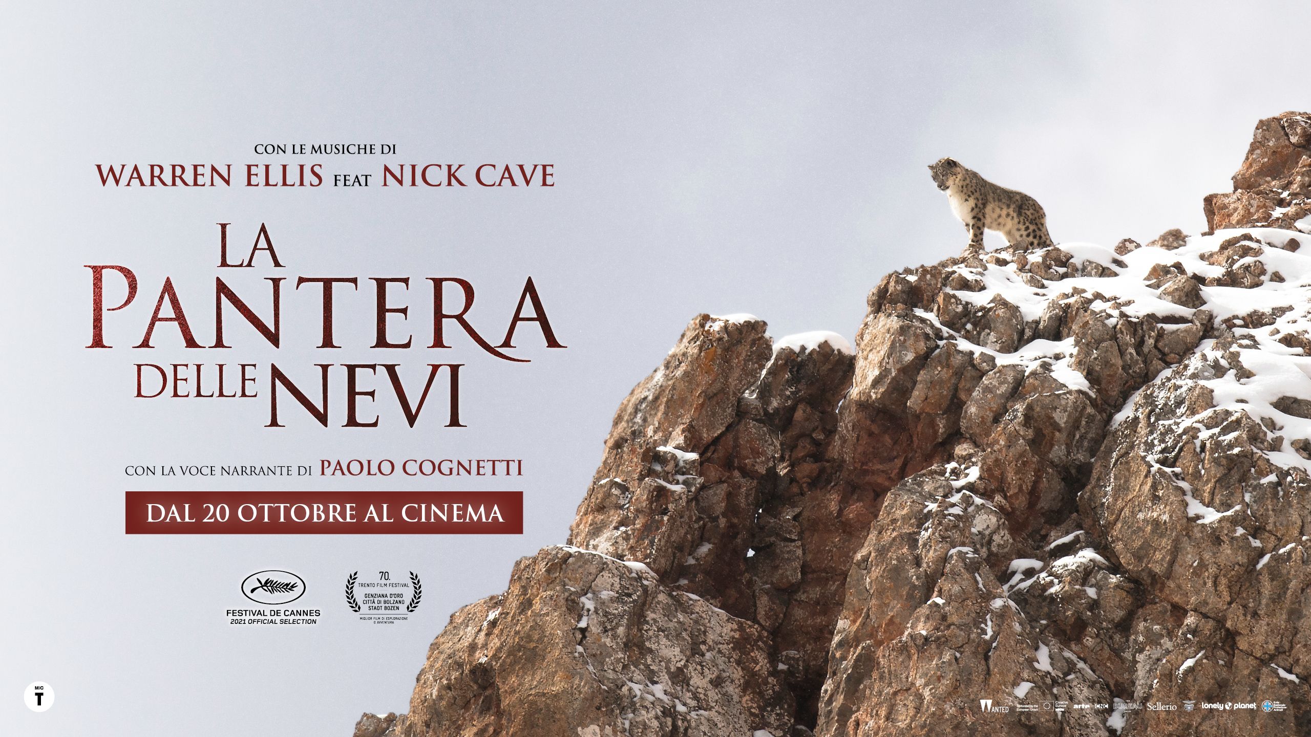 Pantera delle nevi