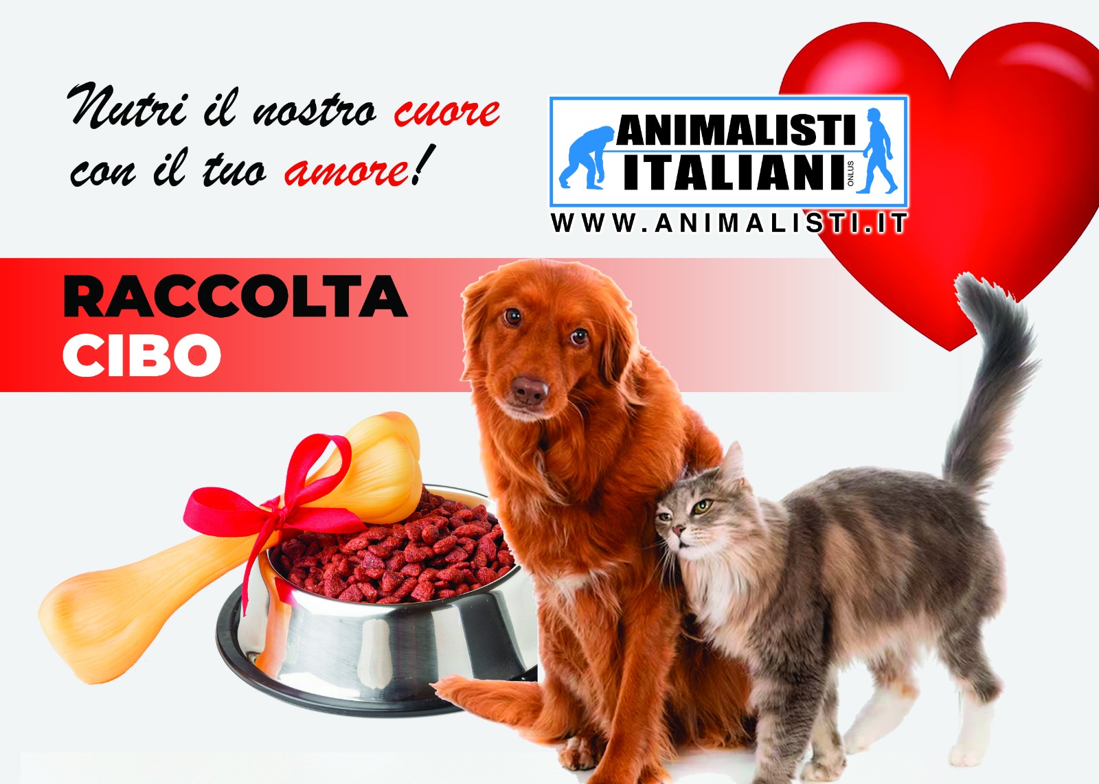Grafica Raccolta cibo A5 per cestone