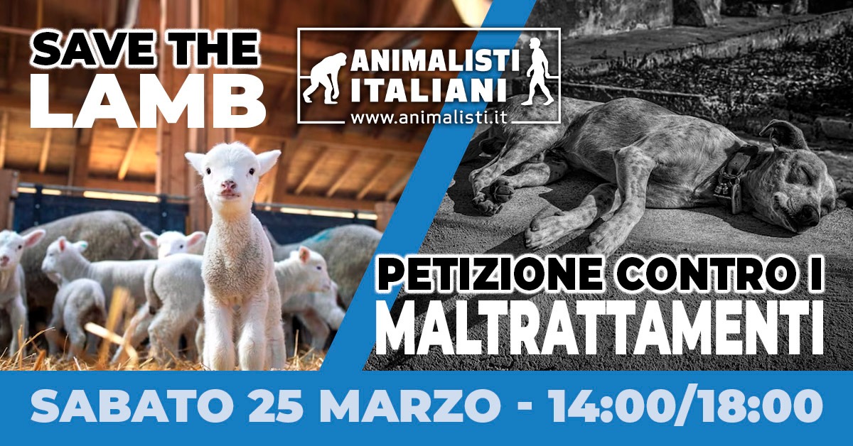 Save The Lamb