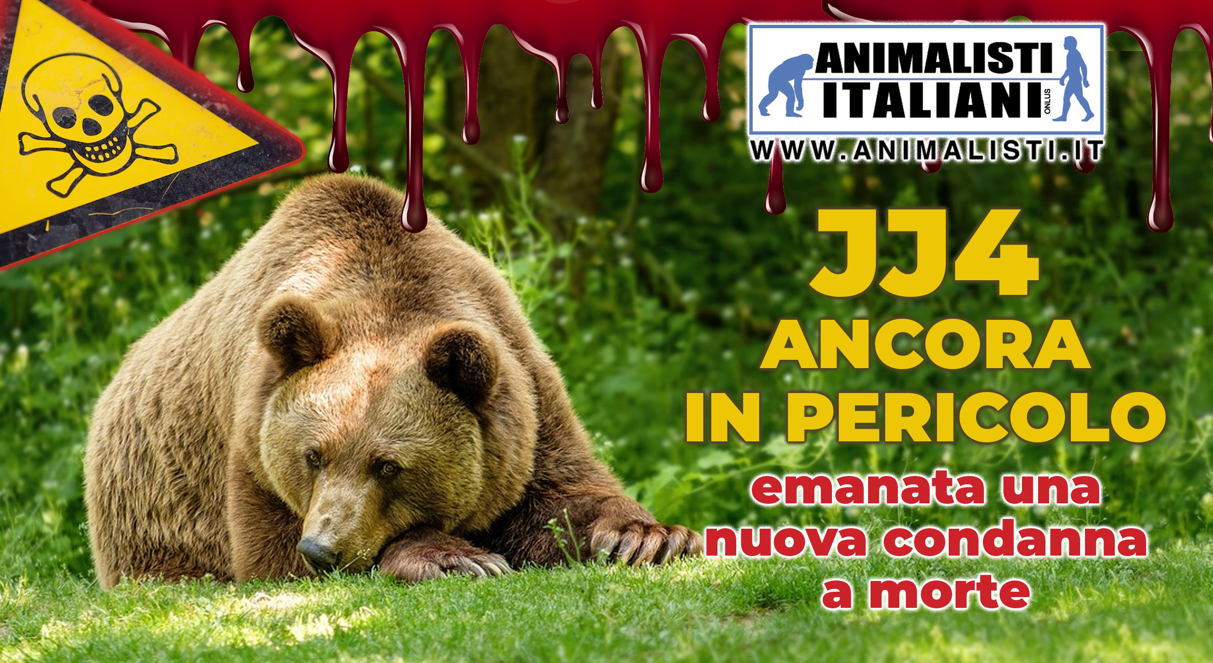 jj4