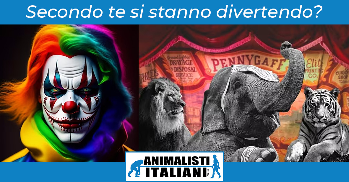 post facebook circo sito