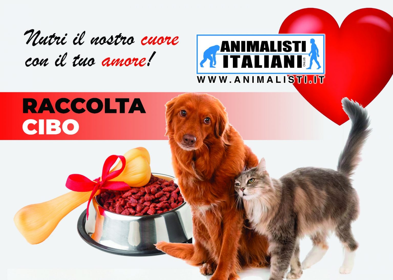 Grafica-Raccolta-cibo-A5-per-cestone-1536x1096