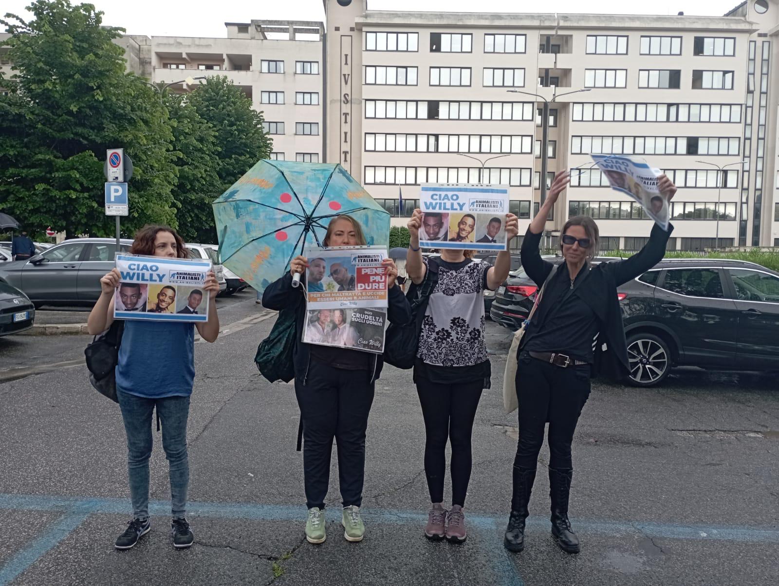 Foto 4 Foto 4