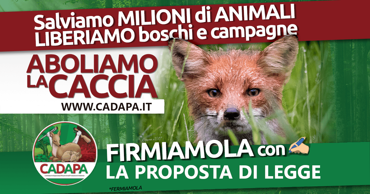 sito_web_volpe_referendum_caccia2